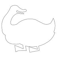 bb duck